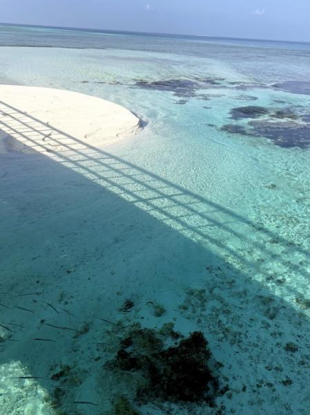 橋の上からの景色