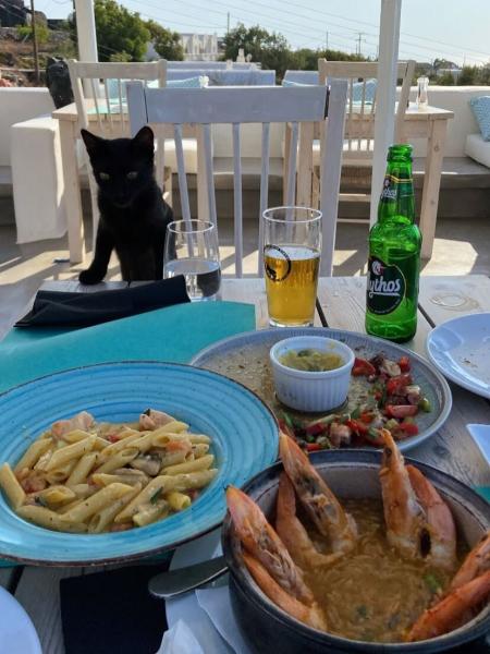 サントリーニ島宿泊ホテルでの食事