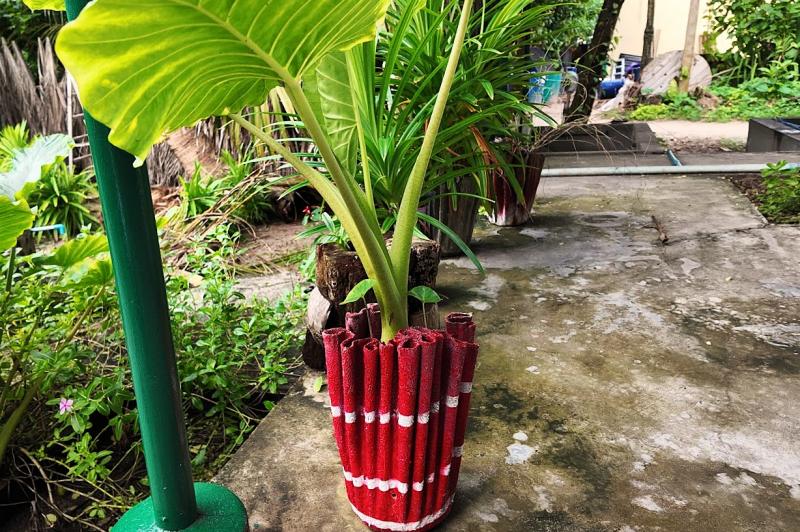 タオルはなんと植木鉢に