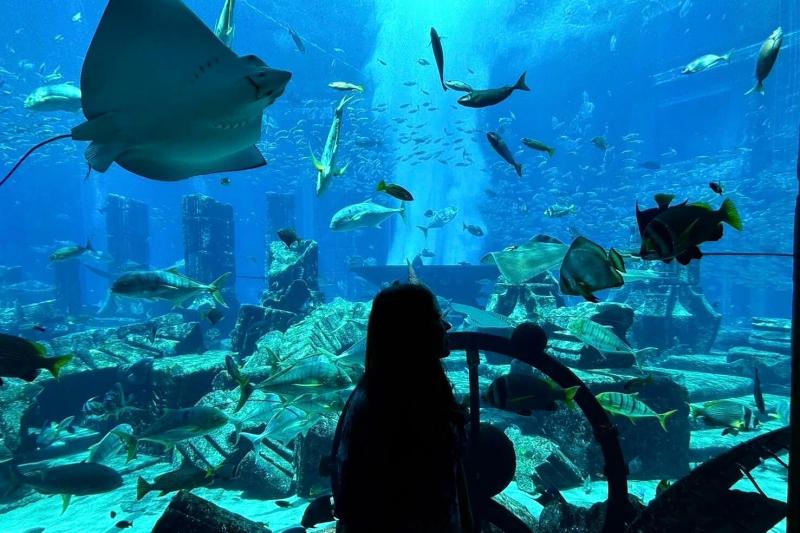 アトランティス ザ パーム内のロストチェンバーズ水族館
