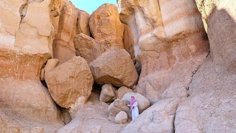 岩に登ることもできました