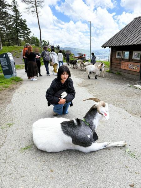 ベルゲンのフロイエン山でヤギさんと！