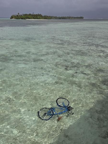 自転車も泳いでいるようです
