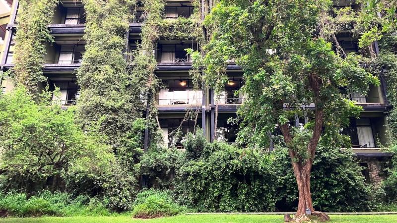 ダンブッラ ウィングの外観