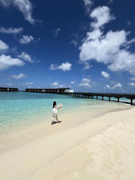 美しい砂浜を歩いてみた