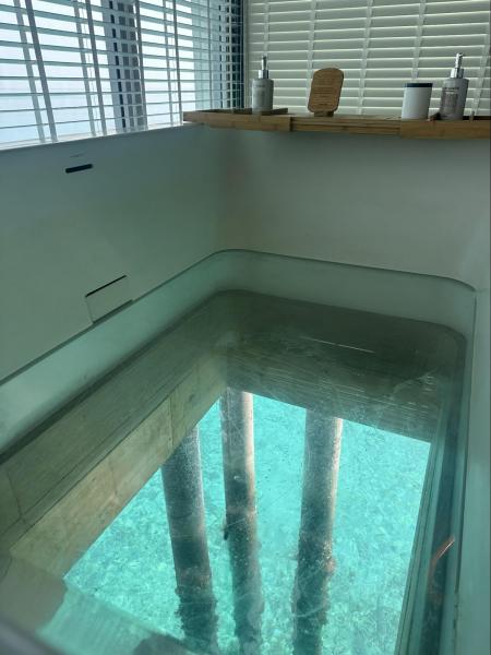 お風呂からも、下を泳ぐお魚がよーく見えます