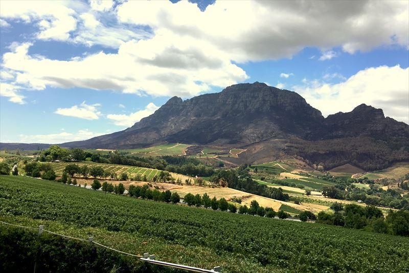 胸のすくような山の景色とワイン畑一帯を見下ろすTOKARAのワイナリー