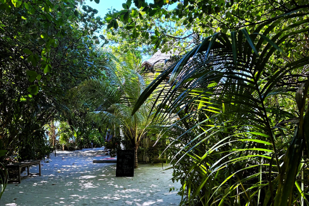 客室へ続く小径も木陰が多く、とても歩きやすい環境でした