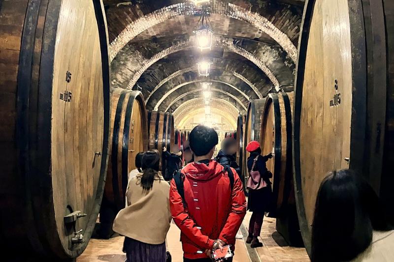 古い宮殿の地下にあるワイナリー「カンティーナ ストーリカ タロサ（Cantina Storica Talosa）」は、16世紀のカーヴの姿が残っています。カーヴとは、ワインの熟成、貯蔵のために寝かせておく場所のことです。