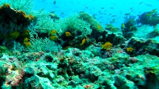 海の透明度も高い