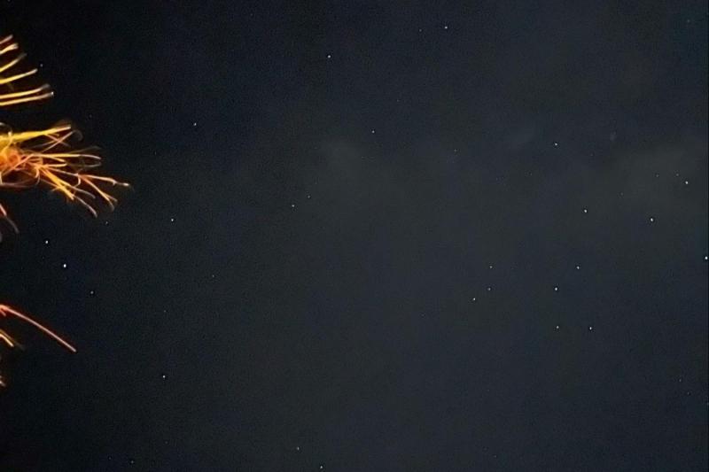 星がとてもきれいでした