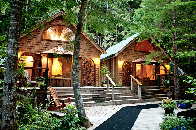 FOREST CABIN 