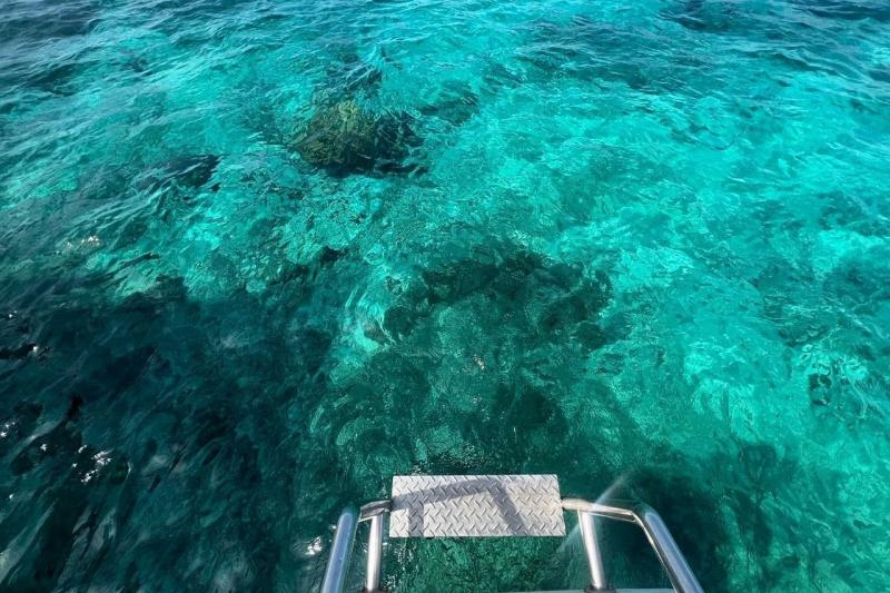 永井さんに、シュノーケリングを楽しむならサンセット側がハウスリーフに近く、お魚がたくさんいるからとおすすめしてもらったお陰で、シュノーケリングを毎日堪能することができました！ リゾートの南側にあるバー「スマグラーズ シャーク」近くの海は、ドロップアウトが近いこともあり、種類豊富なお魚を見ることができました♪