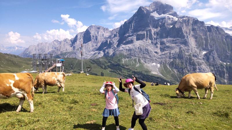 フィルストから見たヴェターホルンと牛を背景にした1枚