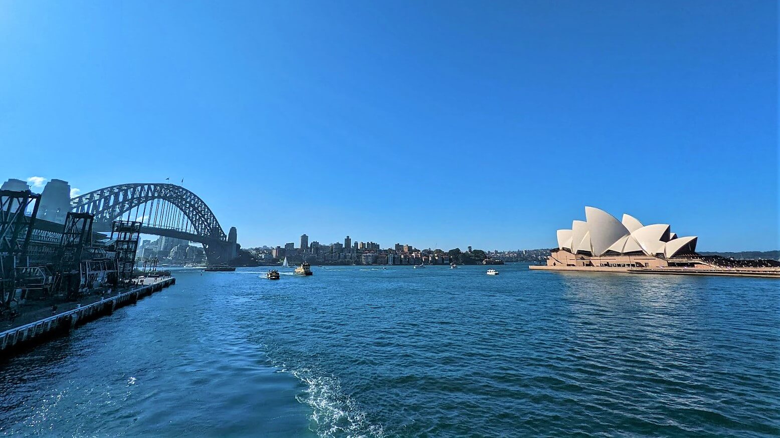 Sydney REPORT|シドニー 視察ブログ