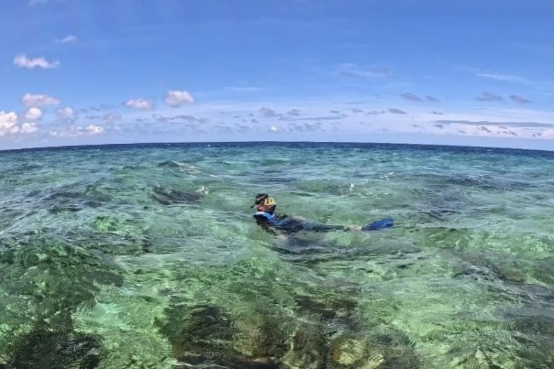 部屋の前の海では、カラフルな魚もたくさん泳いでいました！