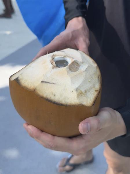 もぎたてのココナッツジュース！