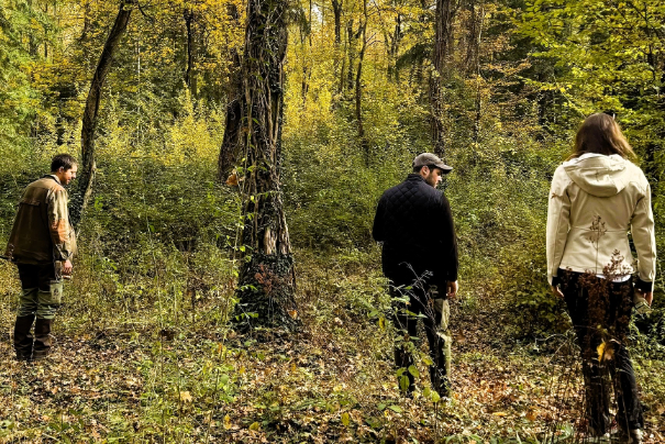 森林の中を歩いているだけで、木のそよめきを聞いたり木漏れ日に照らされたりと本当に癒やされました