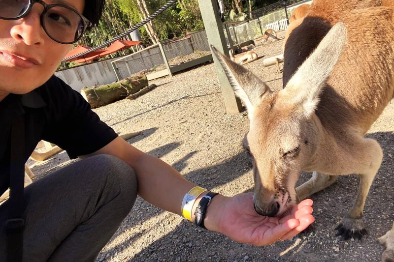 カンガルーとツーショットなんてなかなか撮影できる機会、ありませんよね