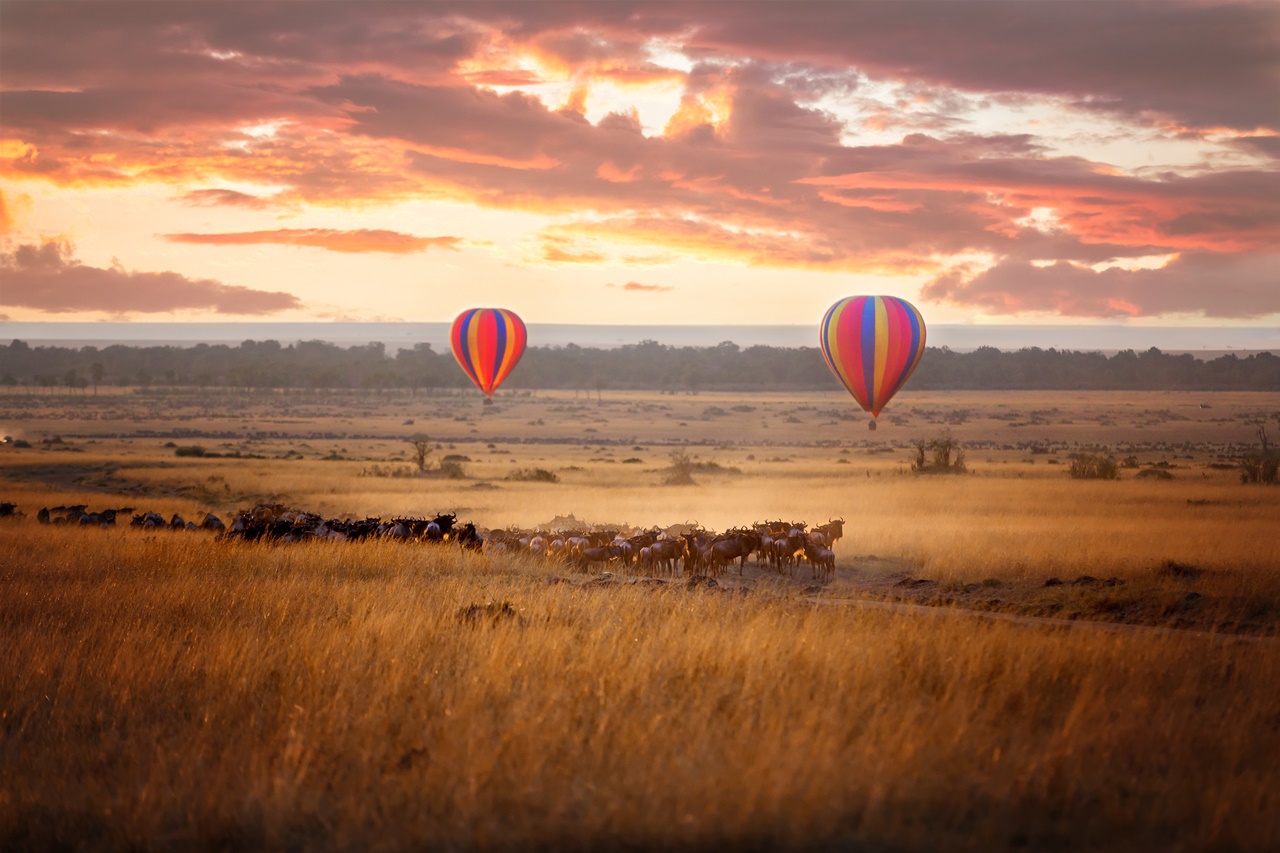 Masai Mara|マサイマラ