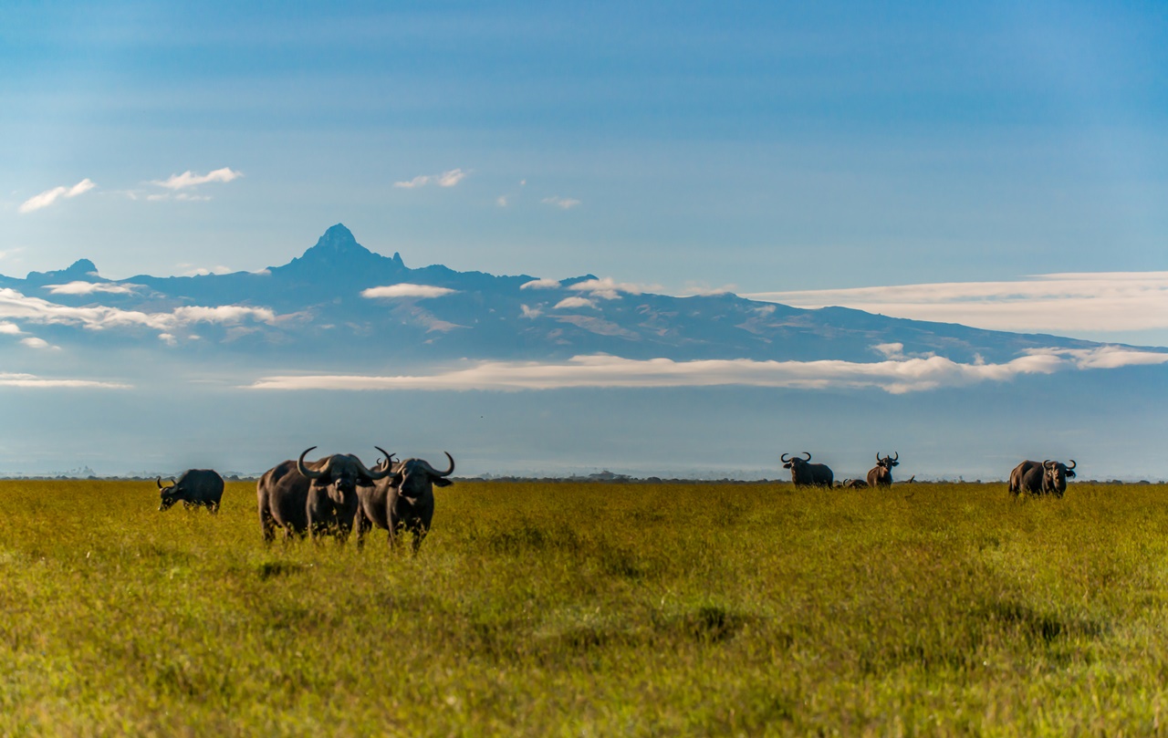 Mount Kenya|ケニア山