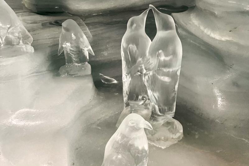 さまざまな氷の彫刻が飾られています