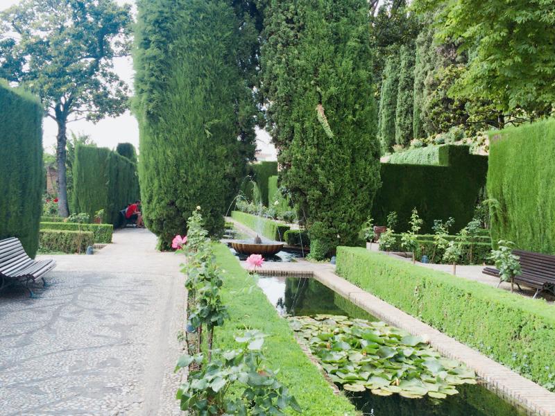 外に出てきてヘネラリフェへ。緑と美しい噴水のコラボレーションが綺麗な庭園です。