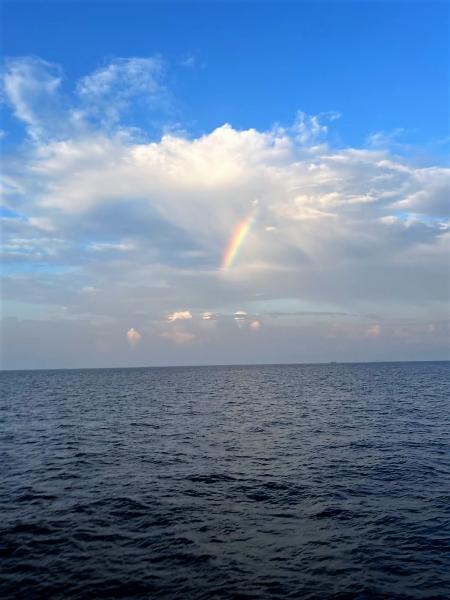 夕方のドルフィンクルーズで偶然見られた虹！ 写真は逃しましたが、2つ並んだ虹が見られました！