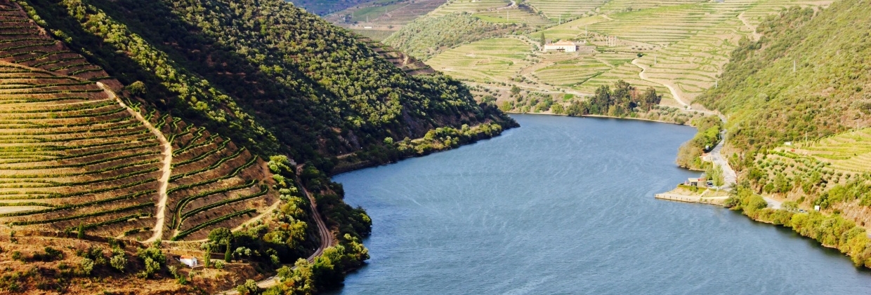 Douro Valley|ドウロ渓谷