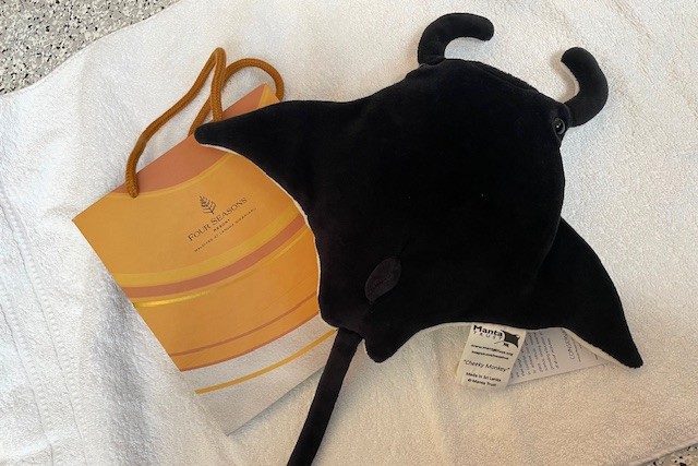 お土産にマンタ買っちゃった♪