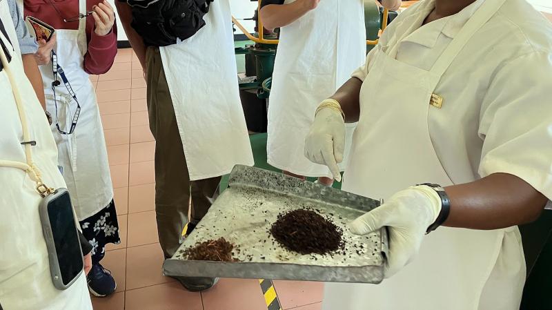 茶葉の大きさをそのまま残すホールリーフ（トレーの左手前）と茶葉を細かく砕くブロークンリーフ（右奥）