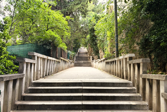 マルヤンの丘へ向かう道はなんだか神社みたいでした