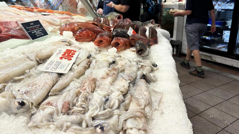シドニーでは、フィッシュマーケットに行きました。新鮮な魚や美味しそうな海鮮料理がたくさんありました。牡蠣、フィッシュ&チップス、カニ足にチーズを乗せてこんがり焼いたもの、寿司、刺身をシェアして頂きました。休日だったので人がとてもたくさんいて、オーダーがスピーディーで少し難しかったですが、なんとか大丈夫でした。