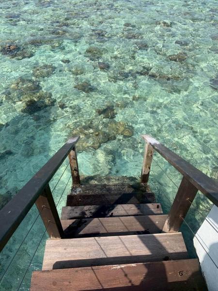 部屋のプールの横から、直接海へ入れます