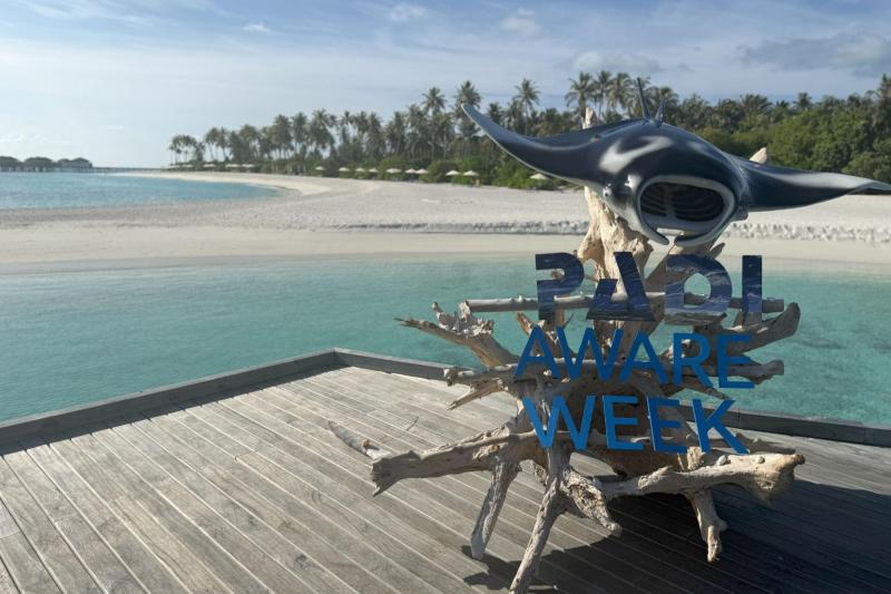 「AWAREウィーク」という世界中のダイビングコミュニティが参加する、海洋保全のイベントが開催されていました