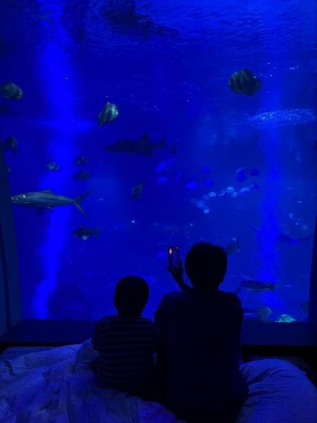 エクエリアス ヴィラズのオーシャンスイートでは、ナイトアクアリウムも