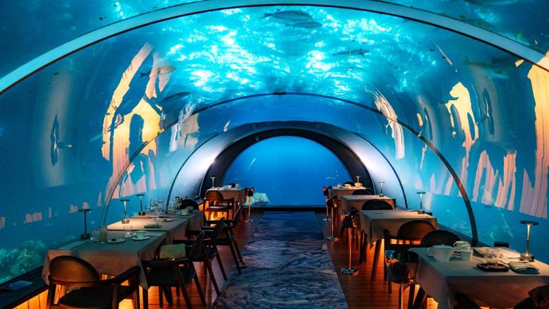 日没後の5.8 アンダーシー レストラン