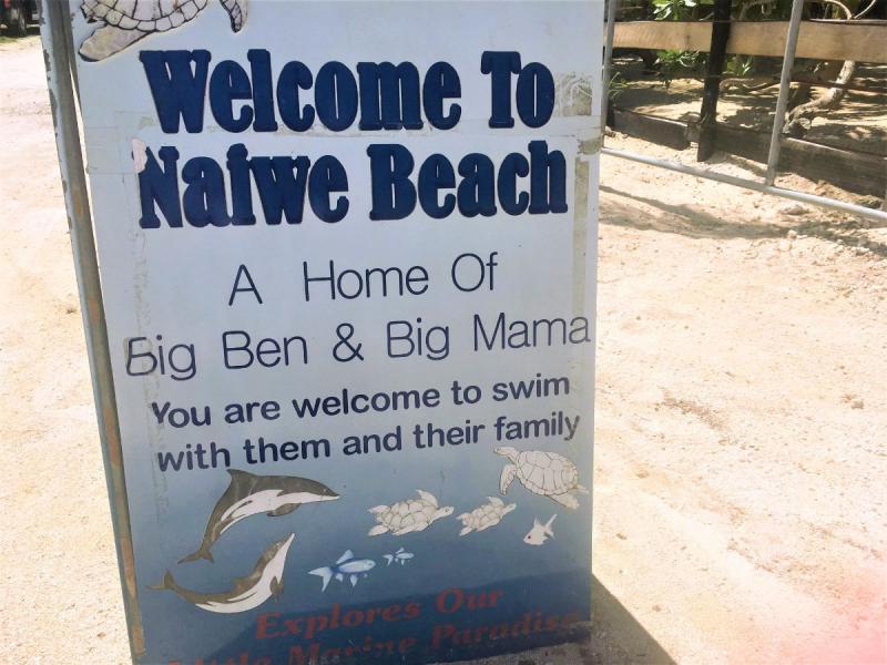 ナイウェビーチの看板にはウミガメやイルカなどの絵が描かれワクワクします