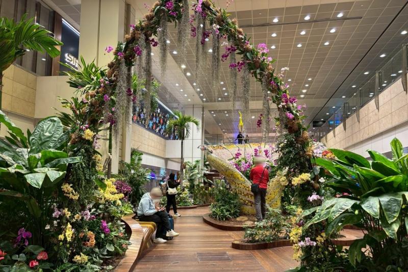 チャンギ空港（シンガポール）。空港内とは思えない内装で、とても素晴らしかった