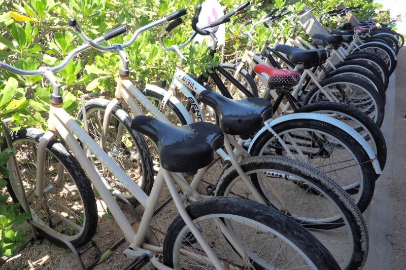 今回はレンタル自転車で移動