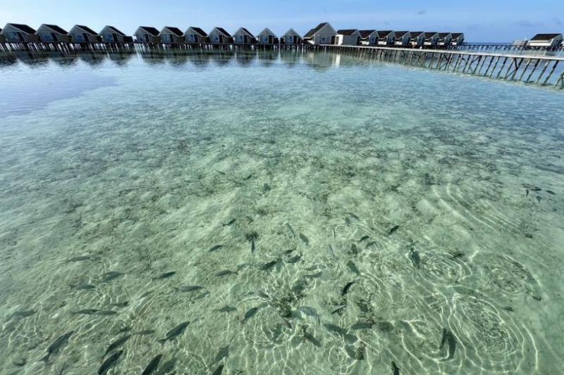 海の透明度が高く、たくさんの魚を見ることができました