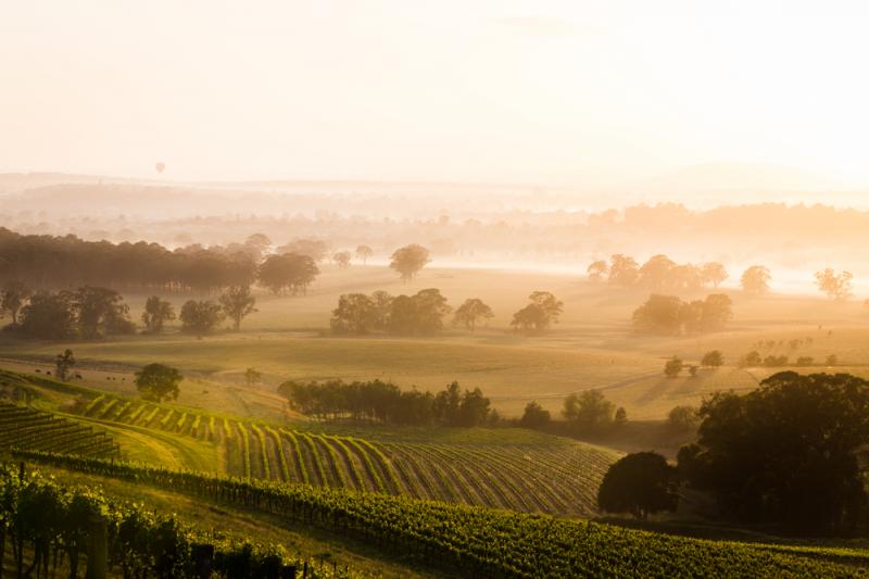 【ハンターバレー】オーストラリア最古のワインの里と呼ばれ、国内最大級の生産量を誇っています。80以上のワイナリーが点在しており、シドニーから日帰りで行くことができます。受賞ワインも多いので、ワイン好きには、外せない場所。