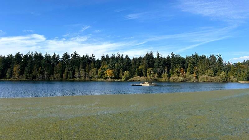 スタンレーパーク