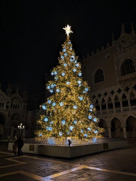 サン マルコ寺院前のクリスマスツリー（ベネチア）