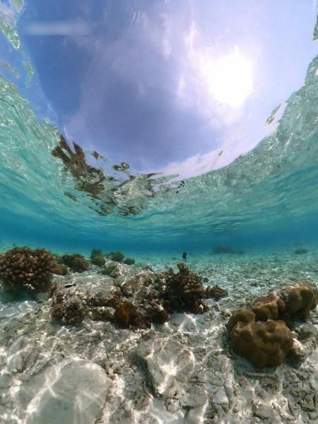 透き通った海でシュノーケリング