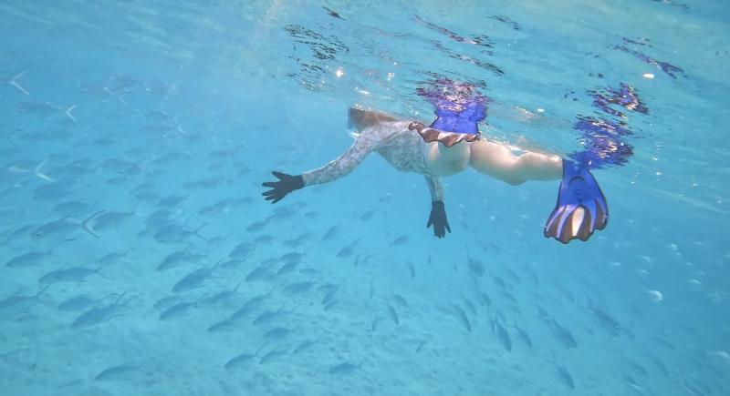 シュノーケリングの様子。 魚、魚、魚がいっぱい！