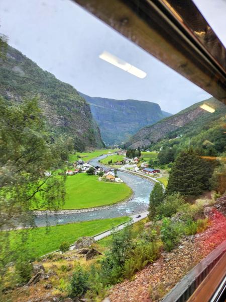 フロム鉄道の車窓からの眺め。まるでRPGの森林ステージの景色