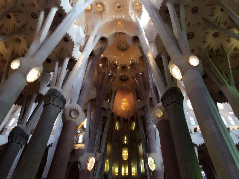 中央身廊の高さは45m。聖堂を支える柱は樹木のようです。