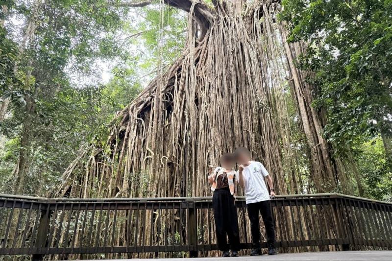 シドニーとケアンズ周遊＋グリーン島に1泊！ オーストラリアのハネムーン8日間