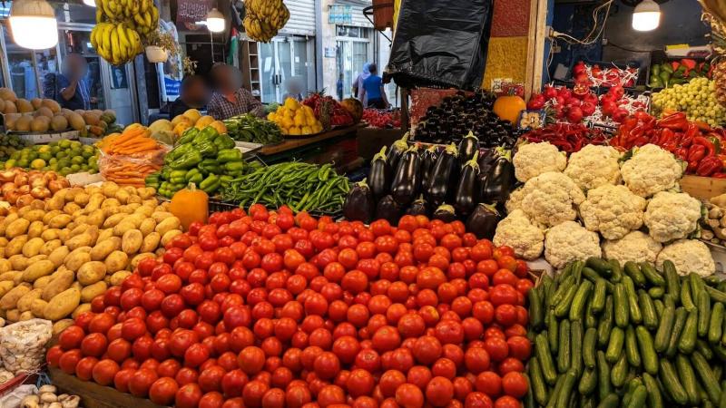 色鮮やかできれいに並べられていて見ているだけでも楽しい